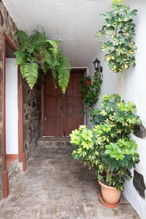 Casa Canaria Acero Garachico  Exteriér fotografie